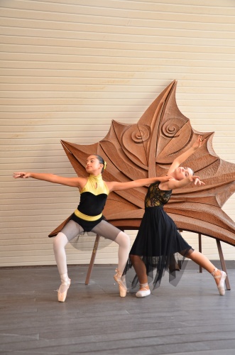 GENÇ BALERİNLERDEN, PARMAK ISIRTAN BALE GÖSTERİSİ