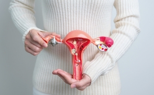 "Rahim hastalıkları tedavisinde histeroskopinin rolü büyük"